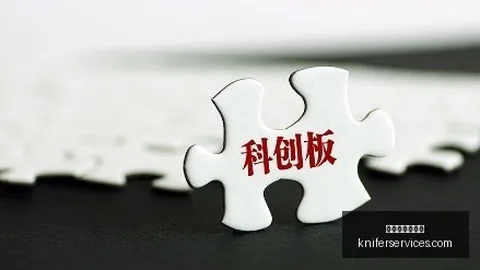 麦卡球商：逆境中如何化牌为力，伊劳拉深度分析